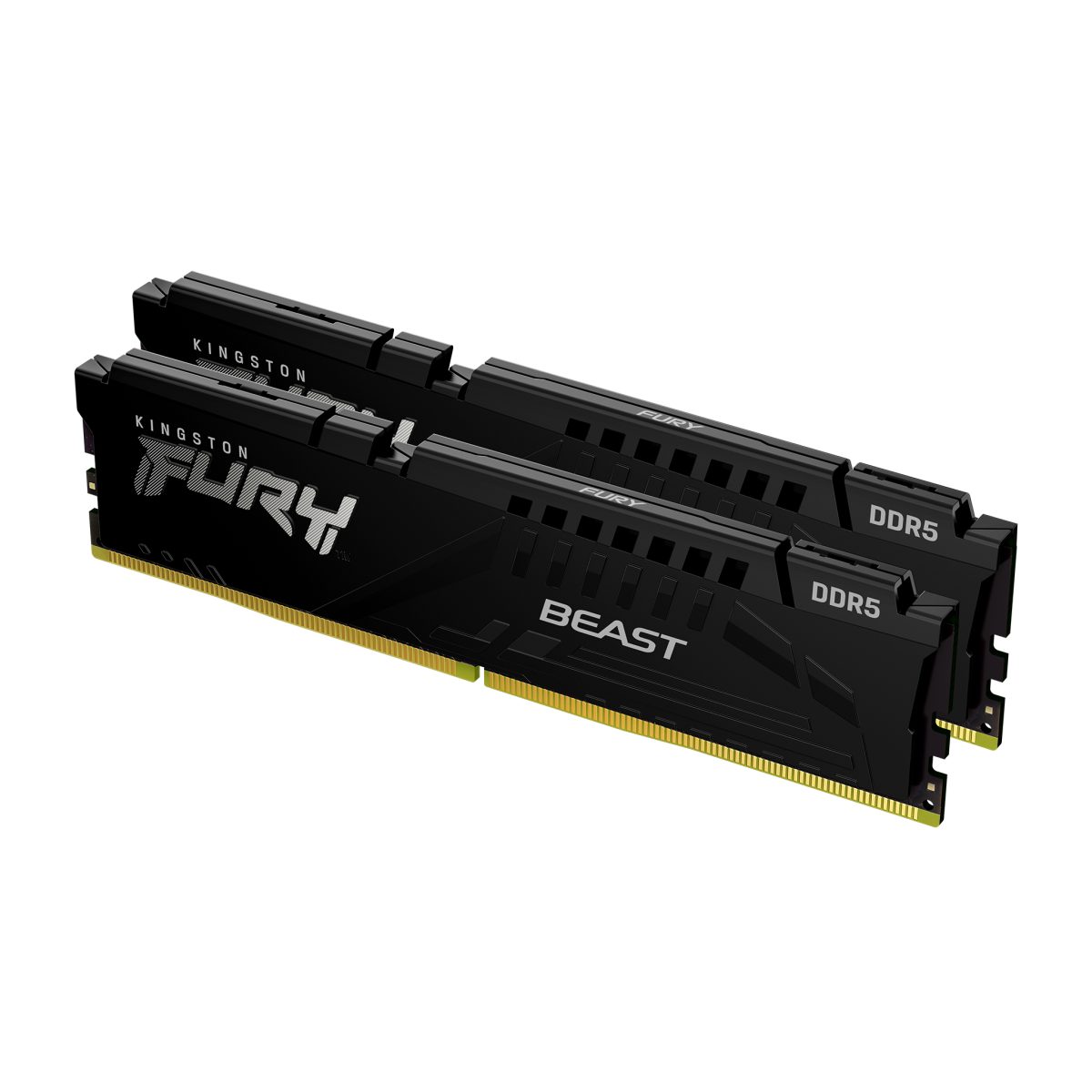Kingston Fury Beast DDR5 UDIMM Desktop Memory Kit