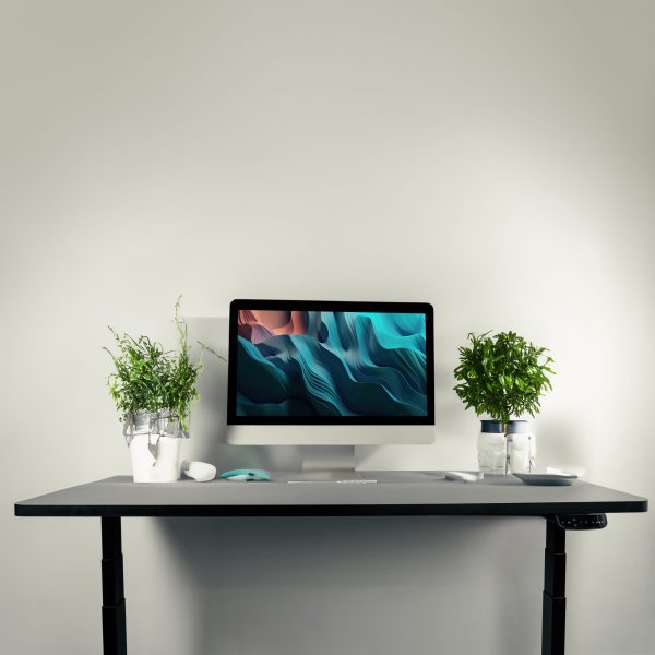 MXG SMD-02-AI Dual Motor SIT Stand Desk With APP Control 3 Stage Standard